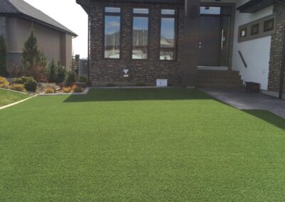 Artificial Turf